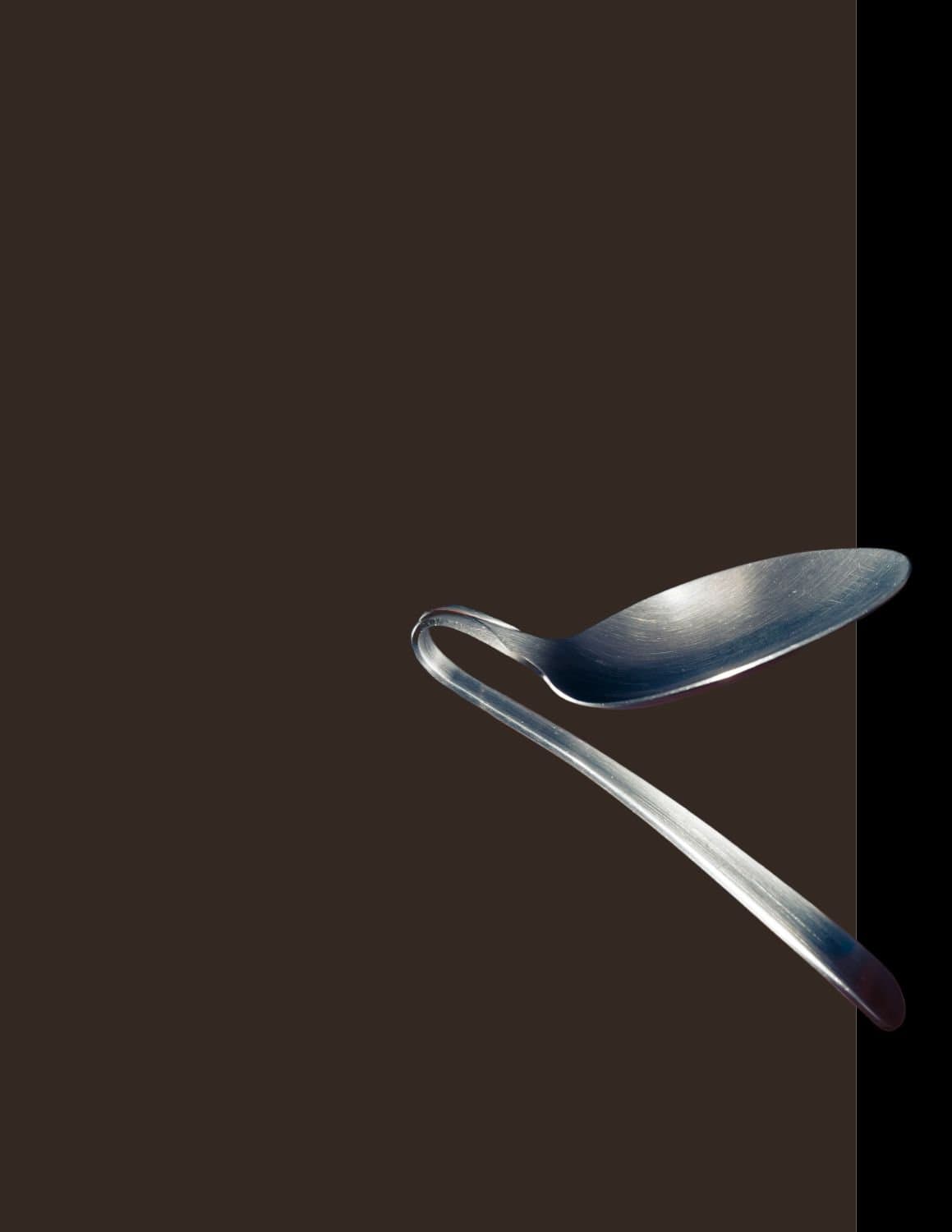 Tampa magicians available for events